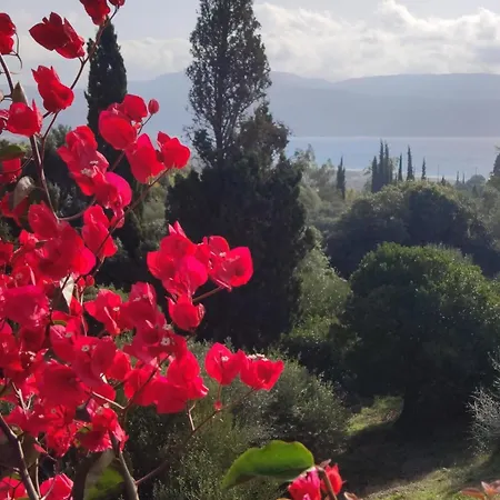 Pilias Villa